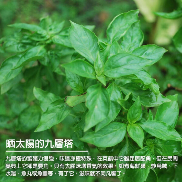 蔥媽媽抓餅700g(5片)：圖片 7