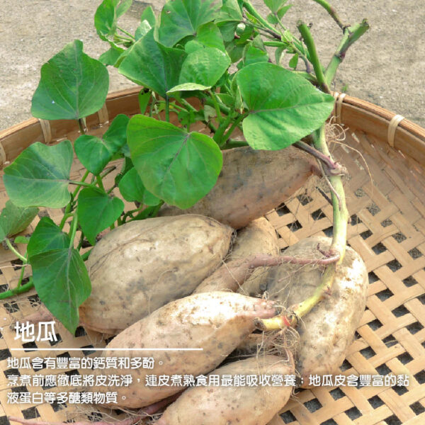 蔥媽媽抓餅700g(5片)：圖片 9