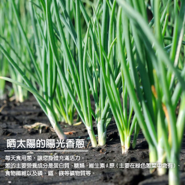 蔥媽媽抓餅700g(5片)：圖片 6
