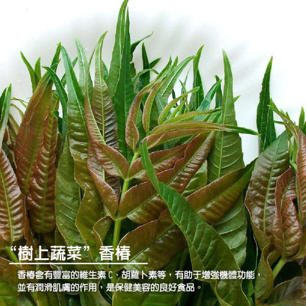 蔥媽媽抓餅700g(5片)：圖片 8