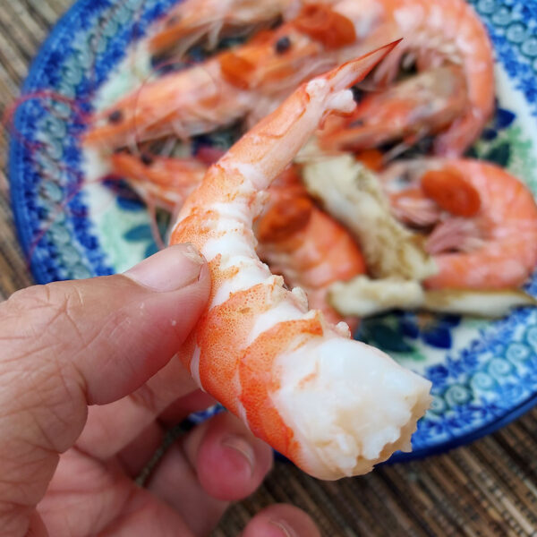 頂級水產_福爾摩沙島嶼樸食工作室：圖片 3