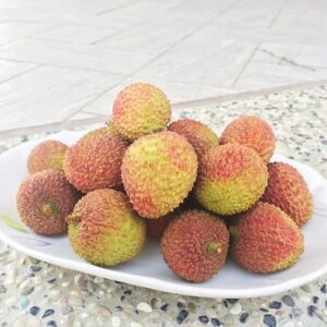 《已售完》美濃小農玉荷包5斤
