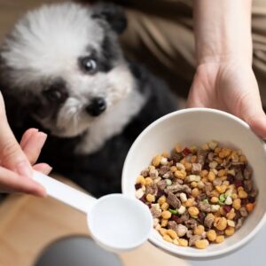 輕寵食毛孩鮮食系列