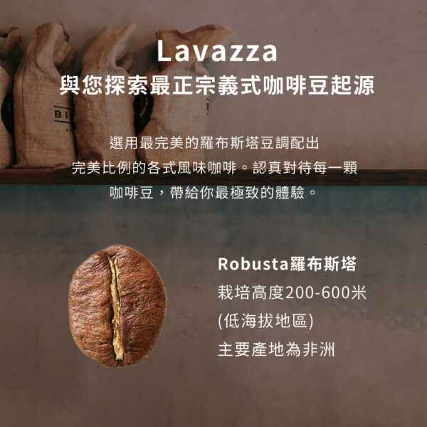 Lavazza咖啡豆/粉：圖片 8